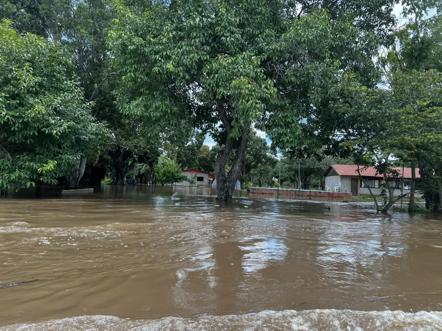 Imagem de compartilhamento para o artigo Coxim e Rio Negro têm situação de emergência reconhecida após estragos das chuvas da MS Todo dia